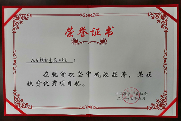 扶贫优秀项目奖