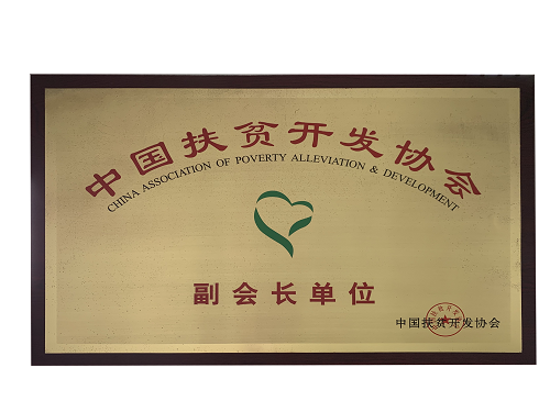 中国扶贫开发协会副会长