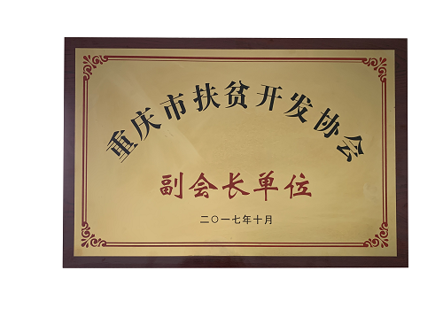 重庆市扶贫开发协会副会长