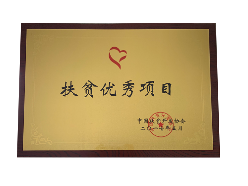 扶贫优秀项目奖