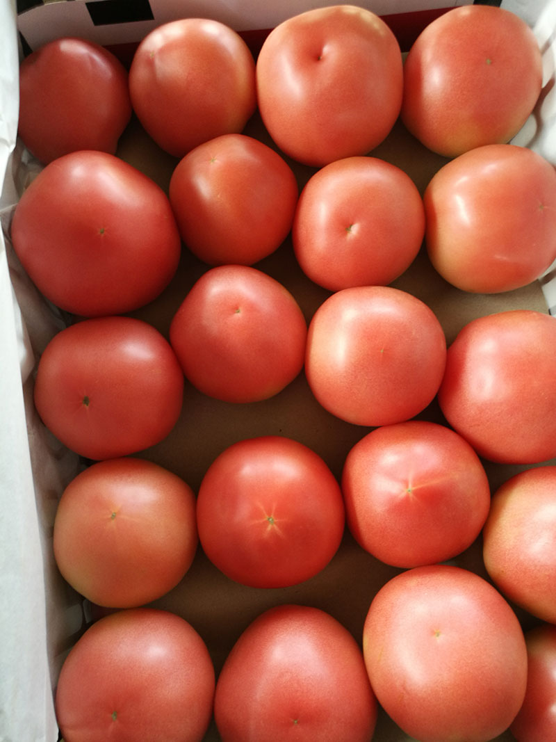 装车新鲜蔬菜