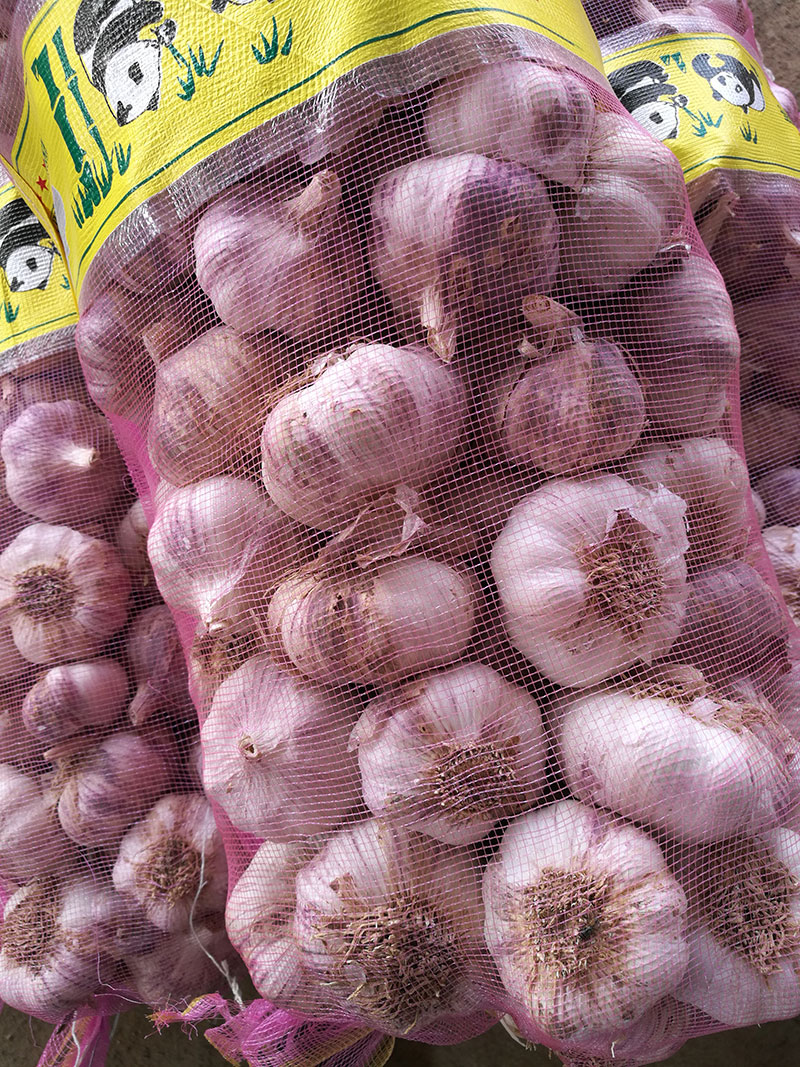 装车新鲜蔬菜