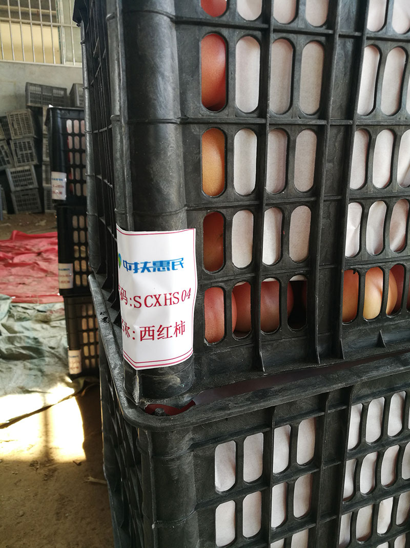 装车新鲜蔬菜