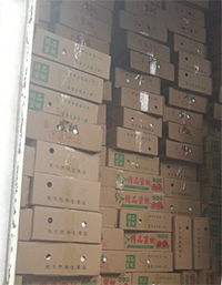 《社区扶贫惠民工程》中扶惠民山东蒙阴蜜桃基地装车发货中